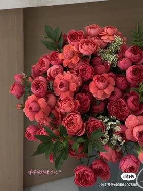 国产玫瑰-【绝色果汁】