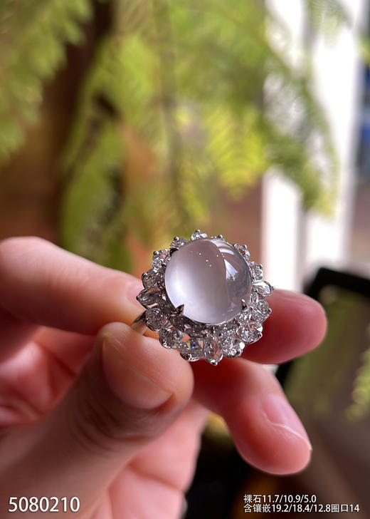5080210，蛋面戒指。具体价格微信咨询 商品图1