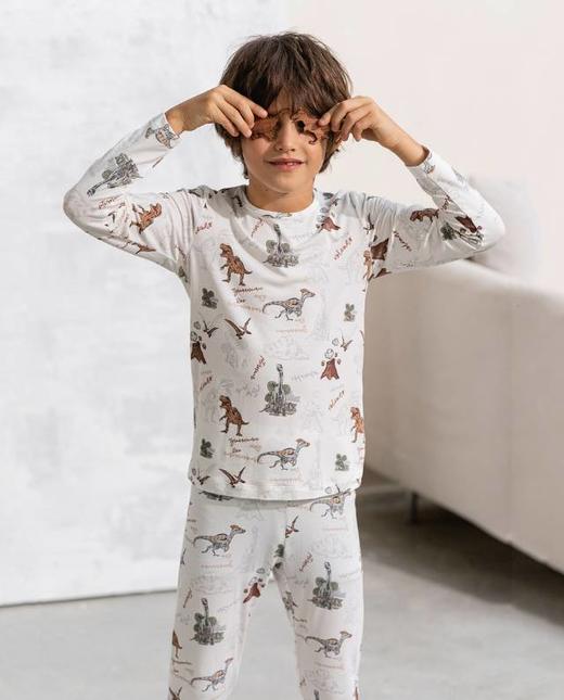 【春上新】8楼爱慕儿童Aimer Kids男孩2件装-奶皮恐龙部落保暖套装AK274G101，吊牌价660元 商品图1