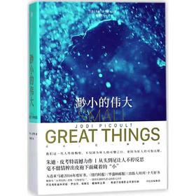 【独家旧书3折】渺小的伟大  二手书籍（新疆 西藏 甘肃 青海 海南不包邮）bj
