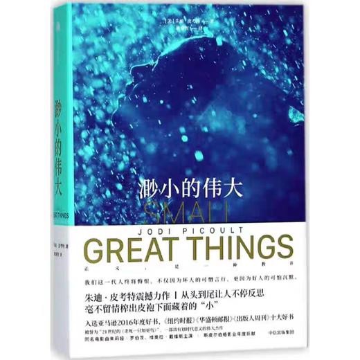 【独家旧书3折】渺小的伟大  二手书籍（新疆 西藏 甘肃 青海 海南不包邮）bj 商品图0