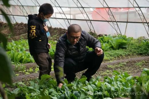 冬季大棚出租 商品图2