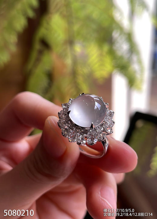 5080210，蛋面戒指。具体价格微信咨询 商品图2