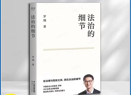 【独家旧书3折】法治的细节 二手书籍（新疆 西藏 甘肃 青海 海南不包邮）bj 商品图0