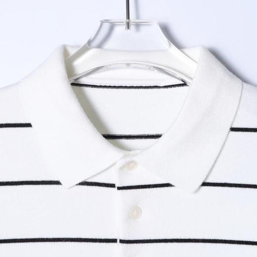 SDSA男士秋冬新款痞帅男装简约撞色条纹polo领针织毛衣百搭时尚 商品图2