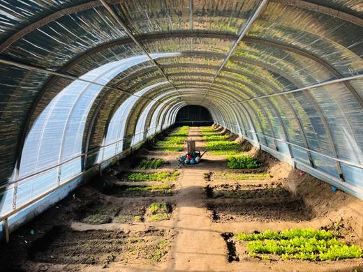 冬季大棚出租 商品图3