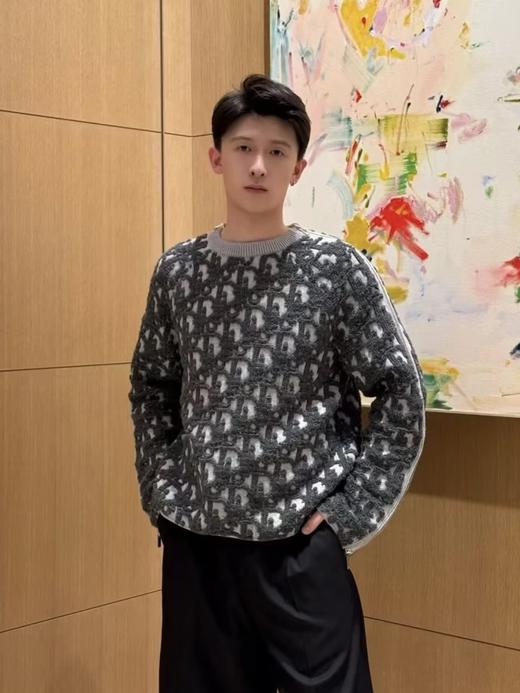 迪奥2025FW秋冬Oblique提花拉链毛衣（DY） 商品图1