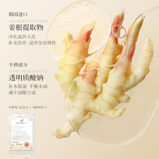 致朵生姜柔润平衡洗发露 补水保湿顺滑发膜柔顺厂家直销批发 商品图2