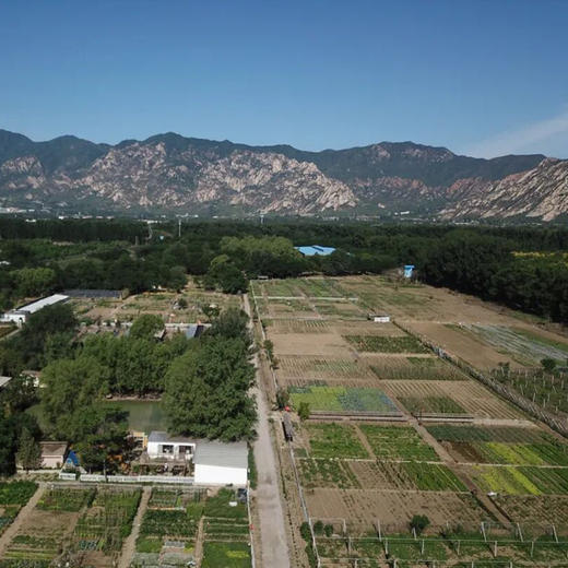 劳动份额 商品图1