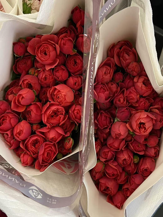 国产玫瑰-【绝色果汁】 商品图1