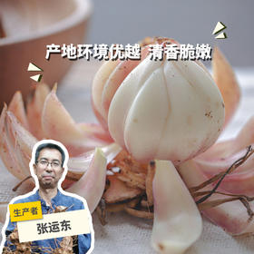 野生鲜百合（广东）  | 合作生产 *Wild fresh lily | Partner Production