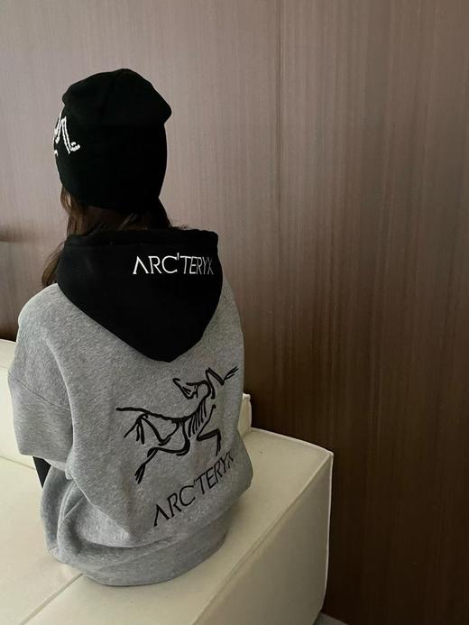 ARC‘TERY*鸟家儿童连帽加绒卫衣 商品图0