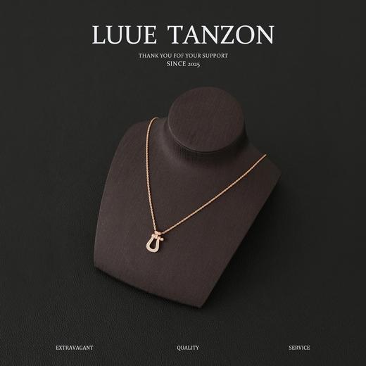 斐登 马蹄扣潮时尚百搭高级感轻奢 项链 （XK） 商品图0