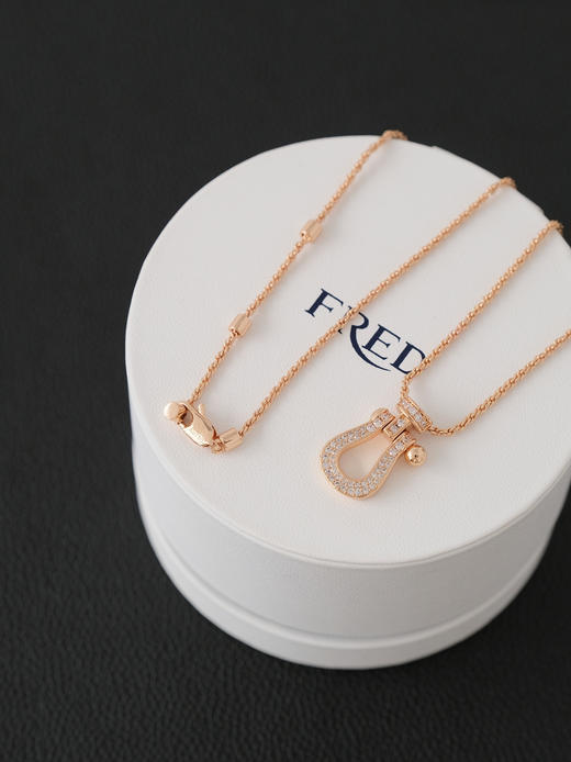 斐登 马蹄扣潮时尚百搭高级感轻奢 项链 （XK） 商品图5