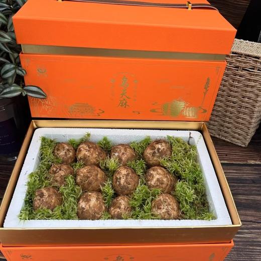 林下仿野生种植新鲜乌天麻 商品图6