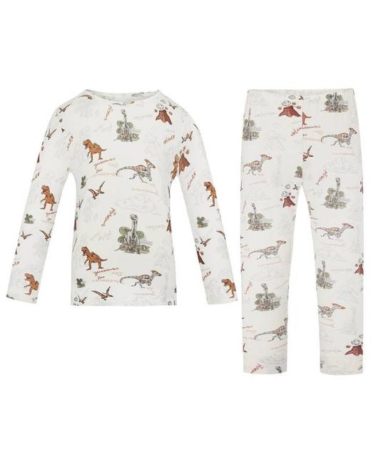 【春上新】8楼爱慕儿童Aimer Kids男孩2件装-奶皮恐龙部落保暖套装AK274G101，吊牌价660元 商品图3