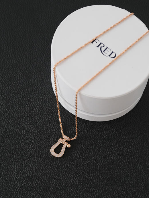 斐登 马蹄扣潮时尚百搭高级感轻奢 项链 （XK） 商品图4