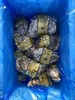 【乳山生蚝】肉质肥美爽滑  鲜活口感 低脂肪高蛋白 深海捕捞 鲜活发货！【顺丰发货】 商品缩略图8