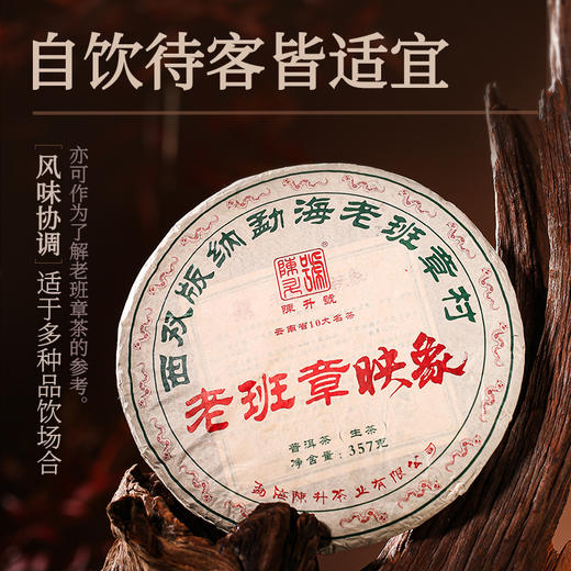 陈升号 2025年老班章·映象357g（生茶） 商品图4
