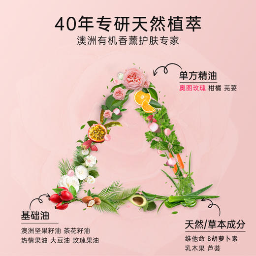 保税直发 CANVAS 卡芬诗 玫瑰保湿护手霜 50mL/乳香紧致护手霜 50mL 商品图2