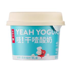 乐纯冷萃干噎酸奶100g/杯