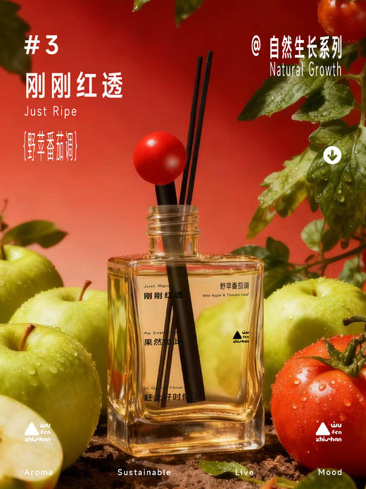 五分之山无火香薰系列2.0（初壤之息雨后青泥调/植此向上新晴木质调/刚刚红透野苹番茄调） 商品图2