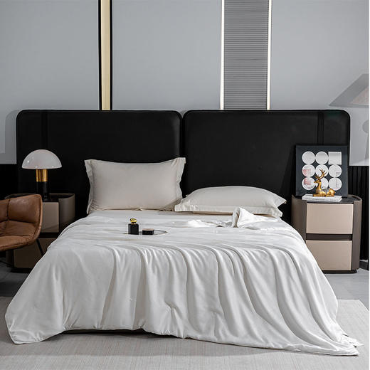 杉杉家纺 桑语提花蚕丝被 QFS-25106 商品图1