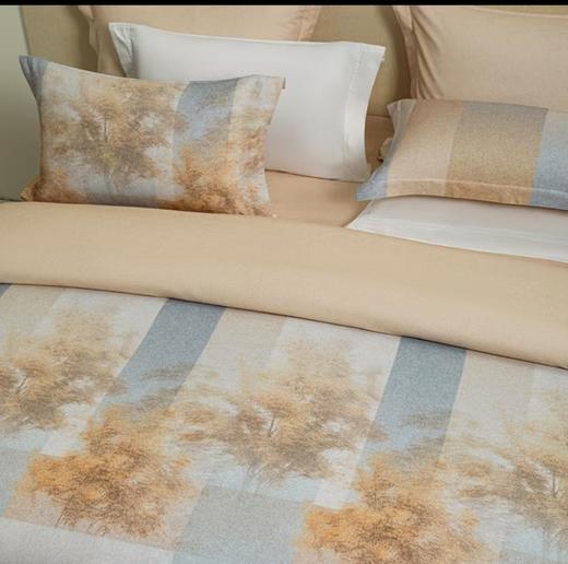 6F堂皇 林樾全棉磨毛四件套 商品图1