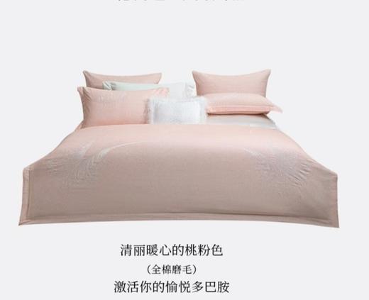 6F堂皇 轻羽磨毛（粉）全棉（紫）四件套 商品图2