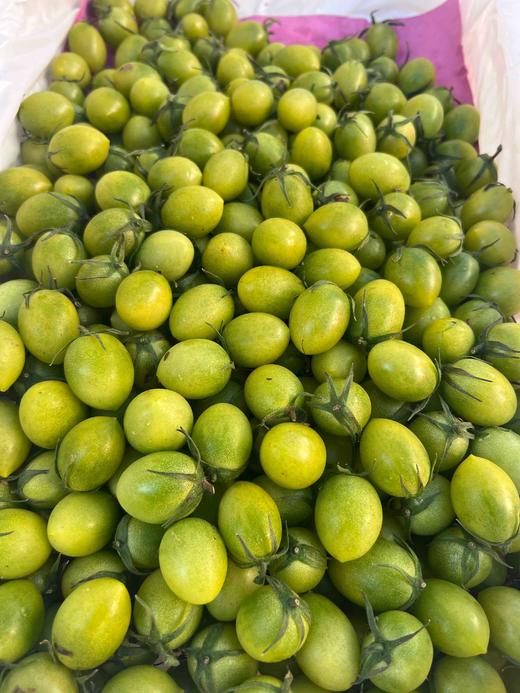 爆小番青霞小番茄 商品图0