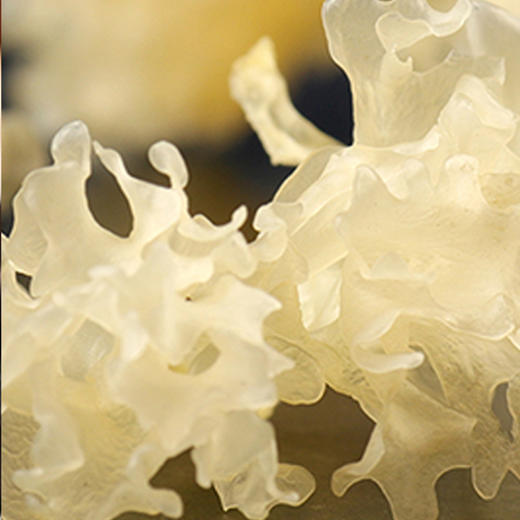 【雾山小农】四川南江雾山小农银耳干货100g/盒装 糯耳出胶快 商品图2