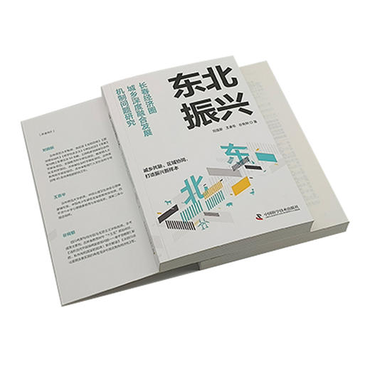 东北振兴：长春经济圈城乡深度融合发展机制问题研究 商品图3