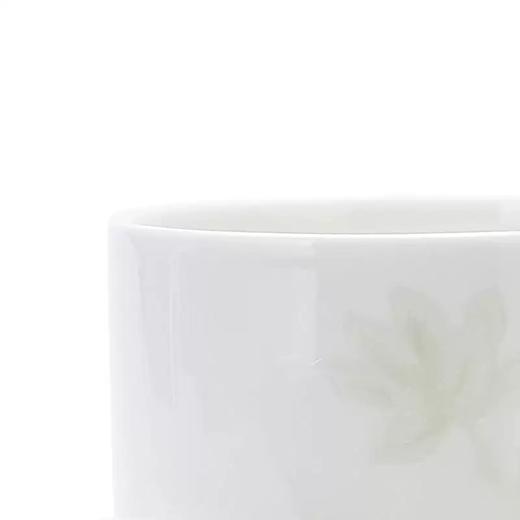 【6F】玛戈隆特白玉兰骨瓷希尔顿盖杯马克杯办公室水杯下午茶创意茶杯 商品图4