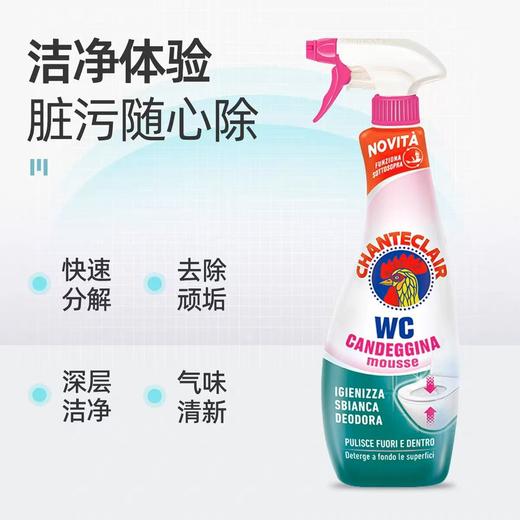 【春上新】9楼母婴生活馆 大公鸡洁厕液除垢款 漂白款 625ml  活动价：27.9元 商品图1