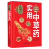 彩色图解实用中草药 商品缩略图0