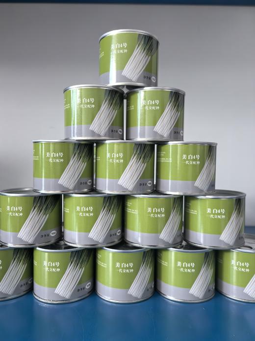 【种子】美白4号 商品图1