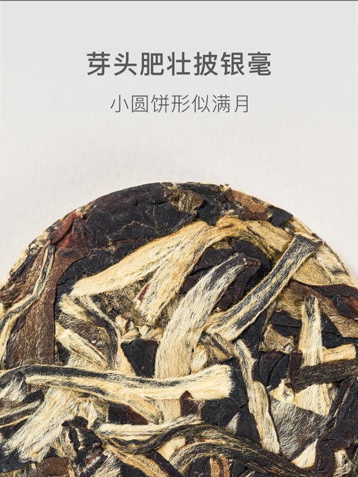 贝叶集白茶夏日冷泡茶云南一级月光白蜜甜香紧压小萌饼茶叶50g 商品图1