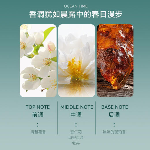 【效期26年11】爱可登靶向焕颜 焕亮紧致面膜50ml 法国 Algotherm ocean time 商品图5