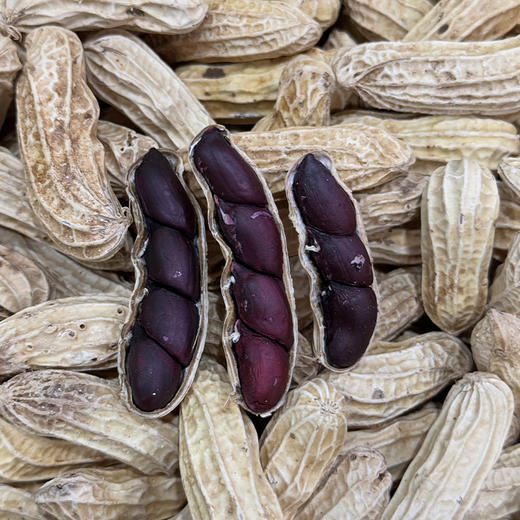  【2斤十堰主城区包邮】营养丰富  新鲜云南富硒黑花生 1斤/2斤 商品图0