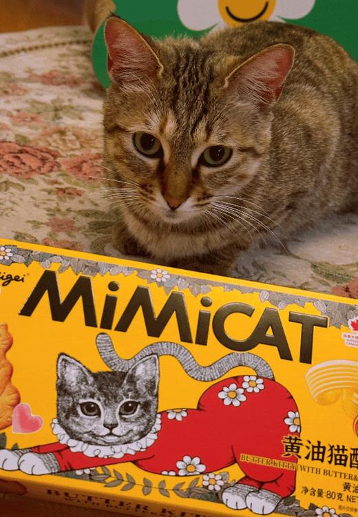 心选丨【猫袋图案随机送】奥力给Aoligei黄油芝士咖啡味猫酪饼干&巧克力可可比萨儿童解馋零食 商品图1