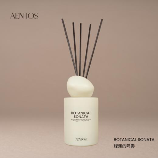 AENTOS情愫之旅度假系列无火香薰110ml 商品图3