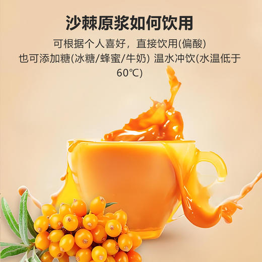 新疆特产万里疆域沙棘原浆鲜果原浆01 商品图2