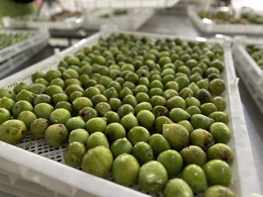 🈚任何添加的糖包子青皮无花果干，颗颗天然果蜜，软叽叽、甜丝丝[色]外表看着没那么光鲜亮丽，但绝对是健康又营养又好吃😋125克/罐，一组两罐 商品图1