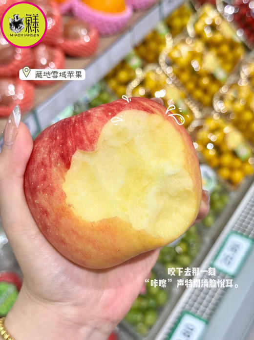 Mg基地直飞【云巅秘蔵】藏地冰川赤霞苹果（包邮） 商品图3