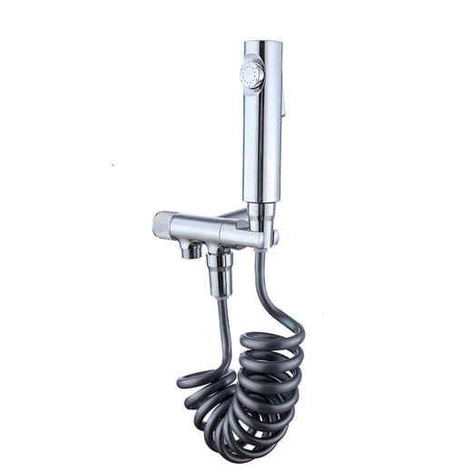 LD-2742全铜马桶伴侣电镀 商品图0