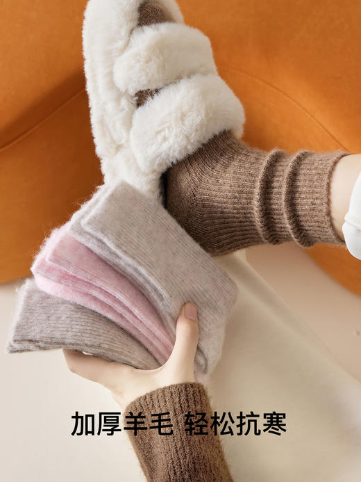 原价39.9 限时折扣23.9元【体慕】羊毛袜子女秋冬款中筒袜加厚保暖睡眠防臭月子袜配勃肯鞋堆堆长袜 商品图2