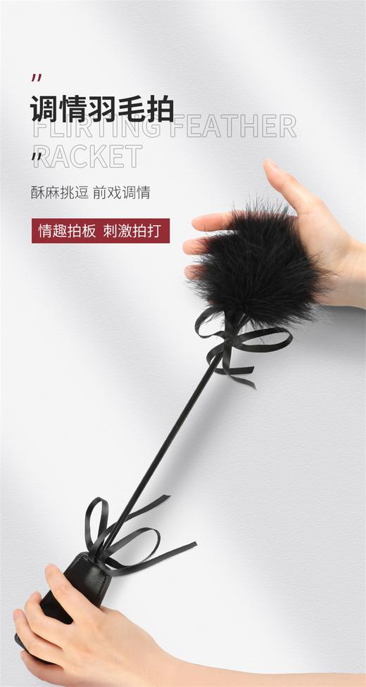 谜姬情趣羽毛棒黑色 商品图0