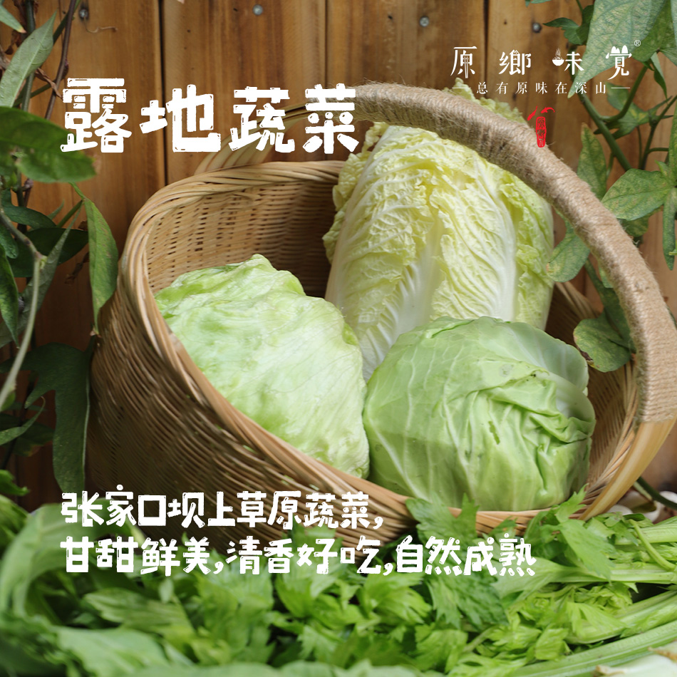 【限时特价！】生态露地蔬菜/洋葱/紫甘蓝/（基地直发-顺丰包邮）|多种蔬菜，来自河北张家口，生产者：李鹏飞【合作生产，公平贸易】