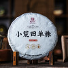 【小荒田单株】茶如其名，又野又甜，勐库第十九个寨子， 2024年春茶云南临沧茶区普洱茶生茶古树纯料单株茶饼357g 商品缩略图0