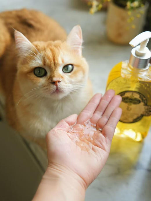 到手2瓶！Ladoverna乌木玫瑰氨基酸润肤沐浴油 商品图7